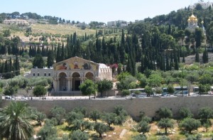 mount-of-olives-picture